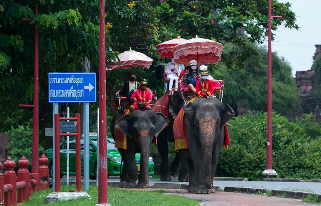 อยุธยาสุขใจ สายมูอุ่นใจ ปลอดภัย น้ำไม่ท่วม 