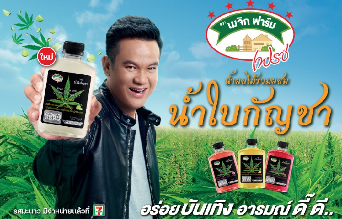 “SNNP” ออก “เมจิกฟาร์ม เฟรช น้ำผลไม้รวมผสมน้ำใบกัญชา” รส “มะนาว” ใหม่