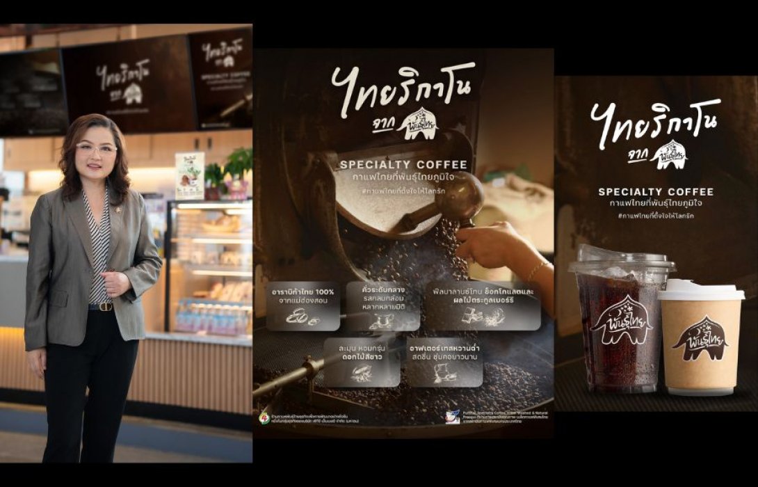 พันธุ์ไทยแจ้งเกิด ‘ไทยริกาโน’ อเมริกาโน สัญชาติไทย‘กาแฟแห่งชาติ’ ที่พันธุ์ไทยภาคภูมิใจ พร้อมก้าวสู่เวทีระดับโลก