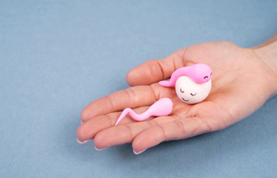 4 ปัจจัยเลือกคลินิก IVF เตรียมตัวสู่การมีบุตร