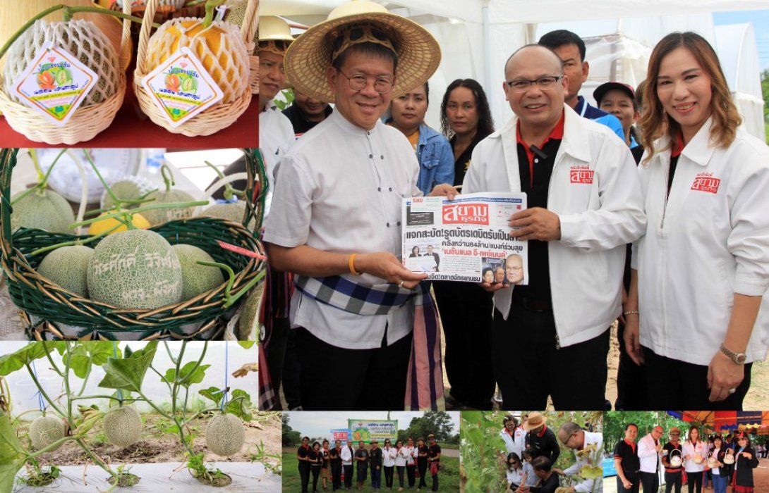 ผ่าตลาด ‘เมล่อน’ แห่งเมืองชาละวัน ผลไม้เงินล้านยุค 4.0