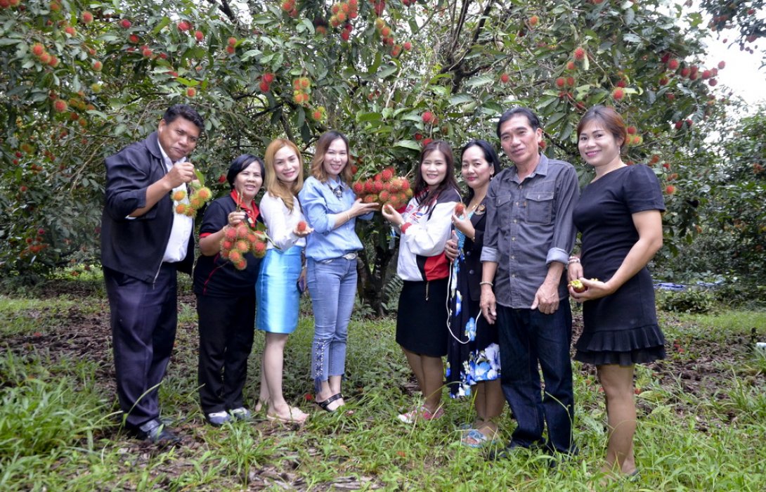 ปีเดียวฟันรายได้ 4 ล้าน “มังคุด – เงาะสีทอง” แห่งเมืองจันทบุรี  