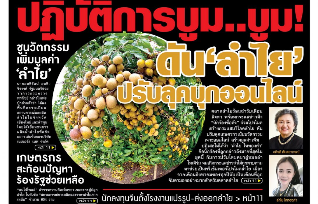 ปฏิบัติการบูม..บูม  ดัน‘ลำไย’ เปลี่ยนลุคบุกออนไลน์