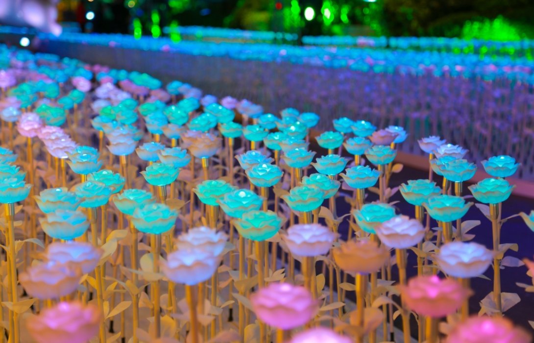 เดอะมอลล์ โคราช สร้างปรากฏการณ์ทุ่งดอกไม้ illumination นับหมื่นครั้งแรกในภาคอีสาน
