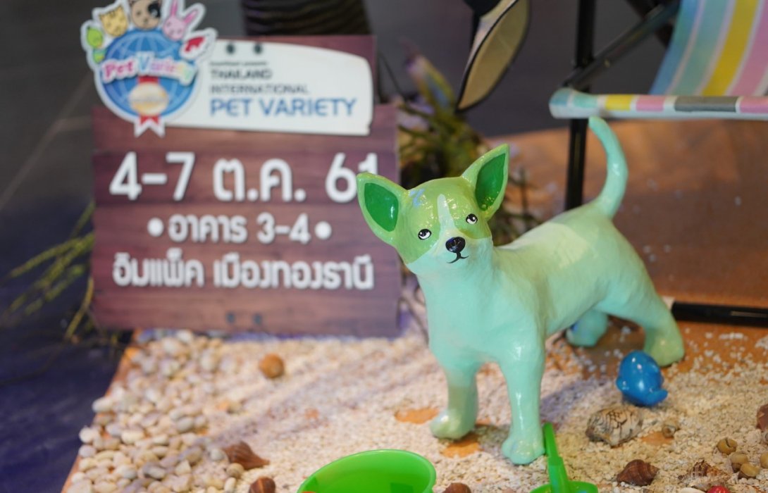 เปิดยิ่งใหญ่ “เพ็ทวาไรตี้” ครั้งที่ 8 “อิมแพ็ค” ยกทัพสัตว์เลี้ยงปิดเกาะลดราคาส่งท้ายปี