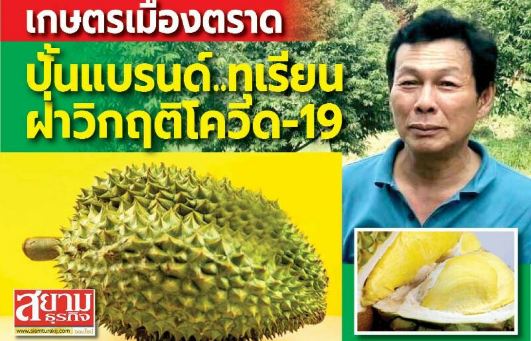 เกษตรเมืองตราด ปั้นแบรนด์ทุเรียน ฝ่าวิกฤติโควิด-19