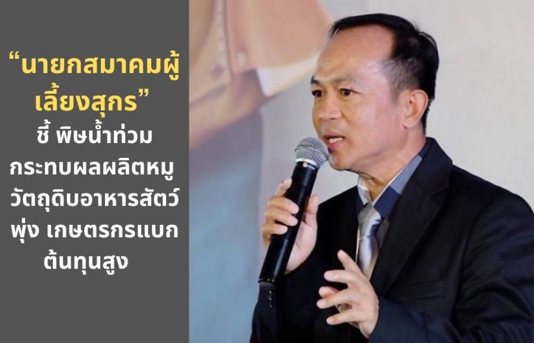“นายกสมาคมผู้เลี้ยงสุกร” ชี้ พิษน้ำท่วม กระทบผลผลิตหมู วัตถุดิบอาหารสัตว์พุ่ง เกษตรกรแบกต้นทุนสูง   