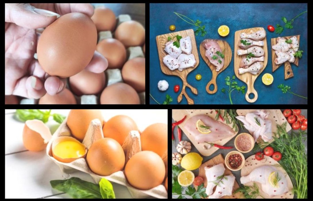 ผู้เชี่ยวชาญชี้นำทาง “เนื้อไก่ – ไข่ไก่” วิเคราะห์โปรตีนคุณภาพ แนะวิธี: เค...