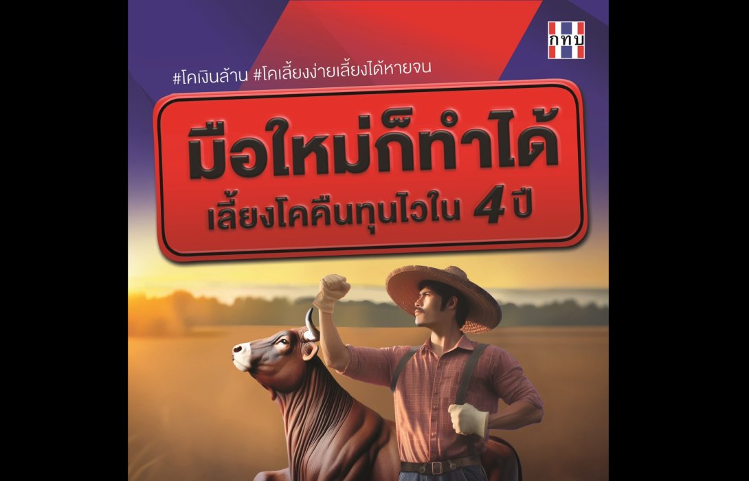 มือใหม่ก็ทำได้ เลี้ยงโคคืนทุนไวใน 4 ปี 