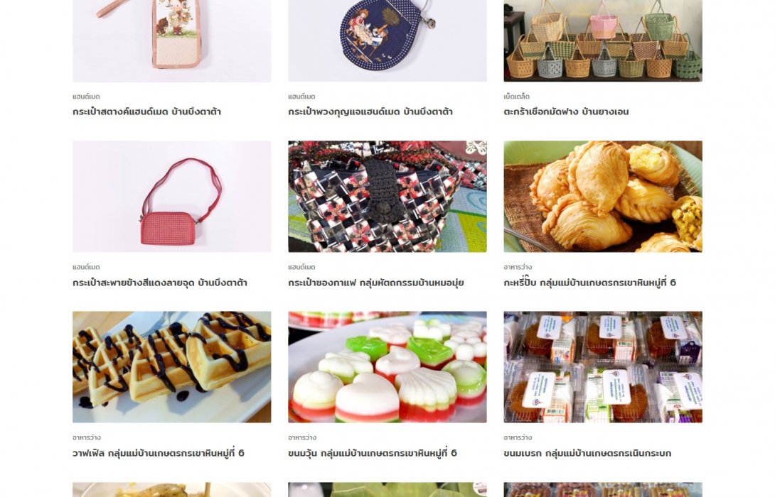 เปิดตัวโครงการ 