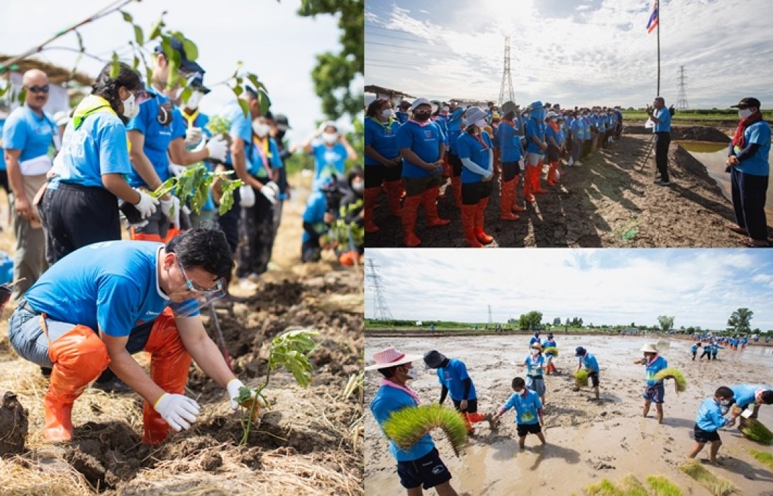 “ตามรอยพ่อฯ” ปี 8 ร่วมสืบสานการทำนาขาวัง จัดกิจกรรมเอามื้อสามัคคี จ.ฉะเชิงเทรา สร้างพื้นที่ต้นแบบโคก หนอง นาขาวัง แบบกสิกรรมธรรมชาติ 