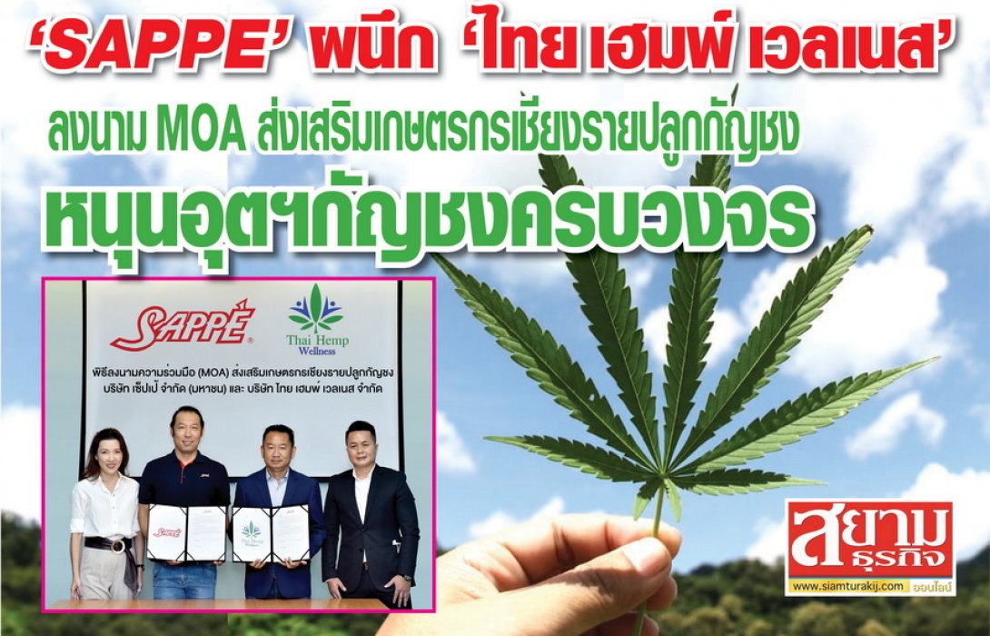“SAPPE” ผนึก “ไทย เฮมพ์ เวลเนส” ลงนาม MOA ส่งเสริมเกษตรกรเชียงรายปลูกกัญชง หนุนอุตสาหกรรมกัญชงครบวงจร 