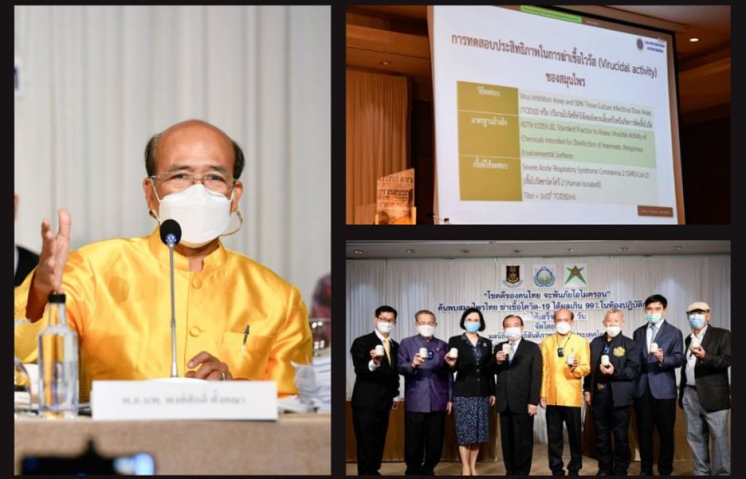“โครงการวิจัยสมุนไพรไทยแก้ไขปัญหาโควิด-19”  เผย  สมุนไพรไทย ยับยั้งเชื้อโควิด-19 ได้ผลเกิน 99% ในห้องปฏิบัติการเร่งวิจัยให้แล้วเสร็จใน 60 วัน
