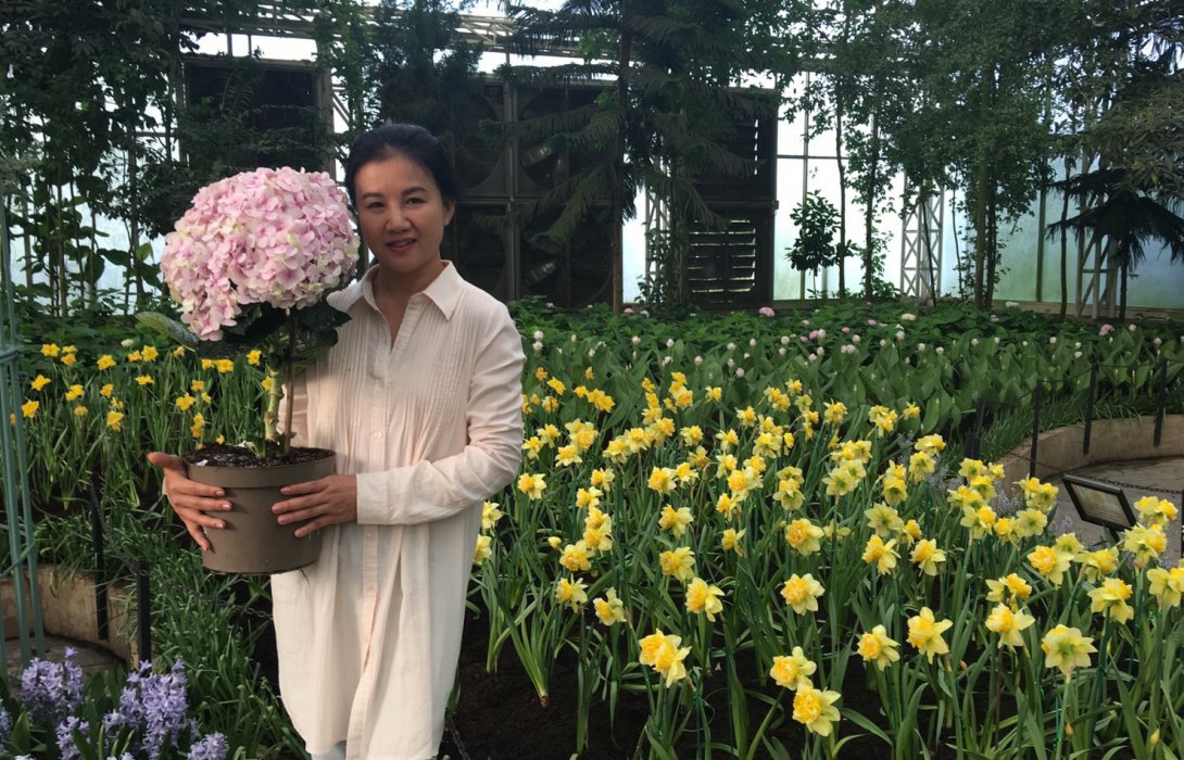 อุทยานไม้ดอกเพลาเพลิน เปิดสวนโชว์ดอกดารารัตน์ (แดฟฟอดิว) 