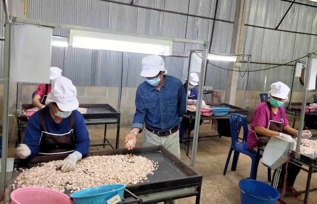 SMEsขานรับซีพีเอฟชูเครดิตเทอม 30 วัน-ต่อลมหายใจธุรกิจ