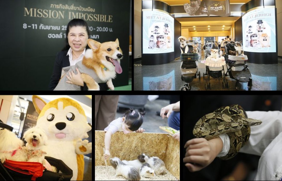 กลับมาแล้ว! “PET EXPO CHAMPIONSHIP 2022” ครั้งที่ 4 สร้างโอกาสทางธุรกิจหลังโควิด-19 คลี่คลายคาดเงินสะพัดกว่า 100 ล้านบาท