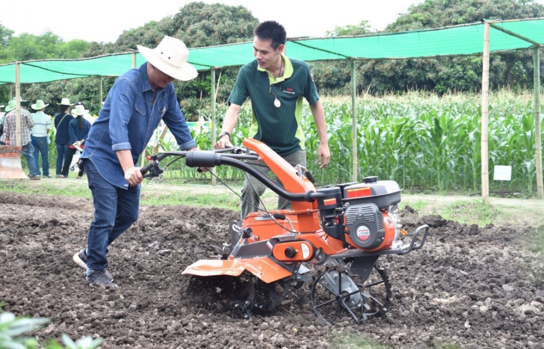 ดันหลักสูตรวิชาข้าวโพดหวานสนับสนุนอาชีพเกษตรกร