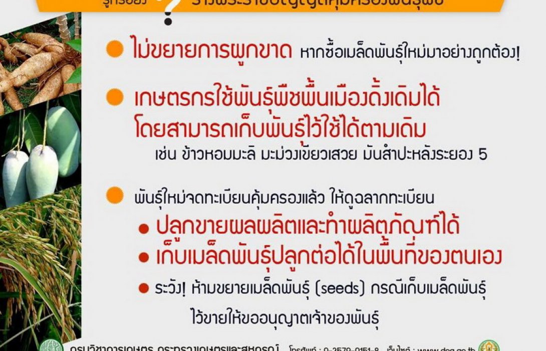 กรมวิชาการเกษตรชี้มาตรา 35 ร่างพ.ร.บ.คุ้มครองพันธุ์พืชพูดชัด