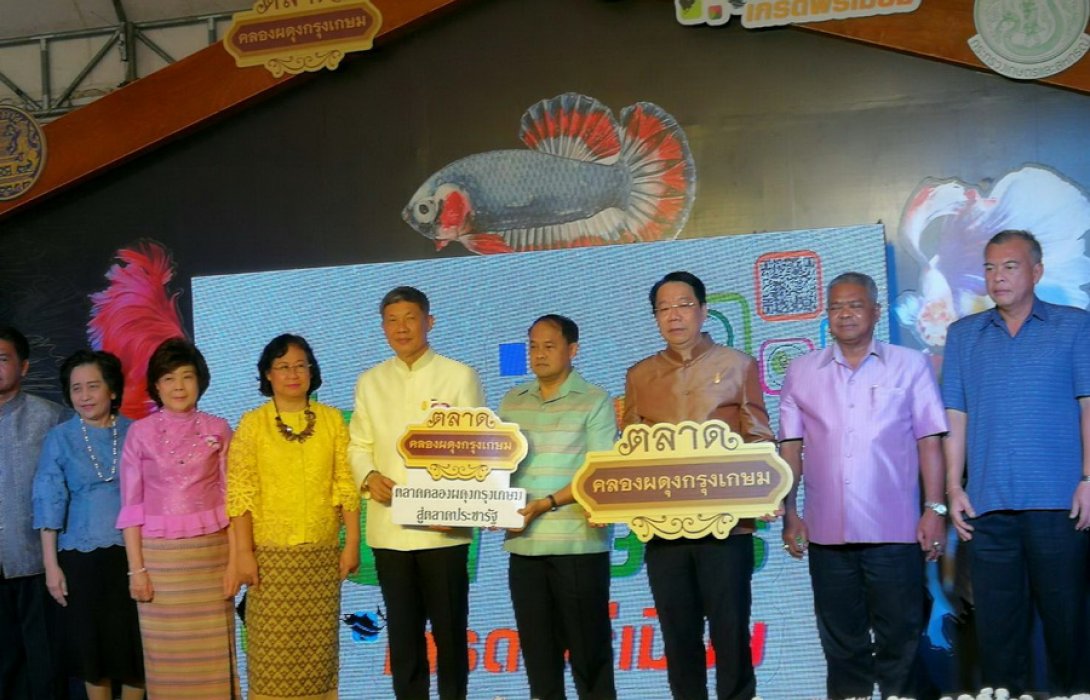 จบไปอย่างสวยงาม “ตลาดคลองผดุงกรุงเกษม : ตลาดเกษตรเกรดพรีเมี่ยม” ประจาเดือน พฤศจิกายน 2560 ... รายได้กระจายสู่เกษตรกรกว่า 30 ล้านบาท 