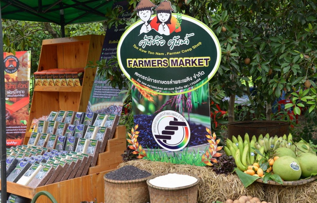 “ไรซ์เบอร์รี่”ลำพระเพลิง ต้นแบบสหกรณ์แปรรูปเมืองโคราช