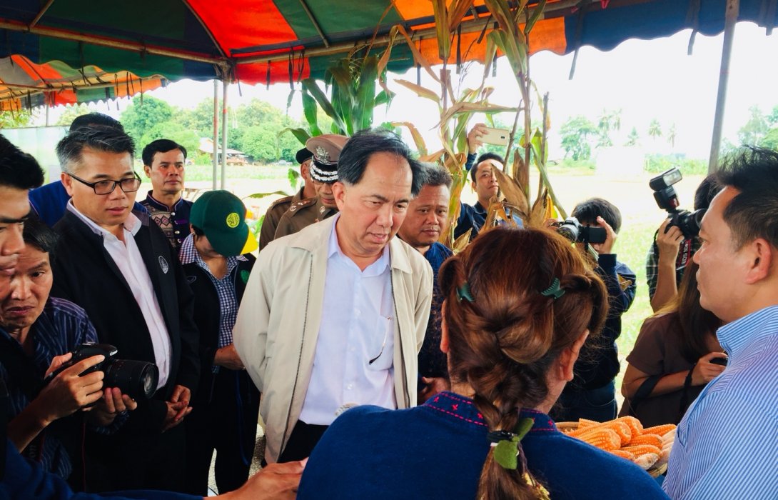 เกษตรฯ หนุนปลูกข้าวโพดหลังนา นำร่องอุตรดิตถ์-พิษณุโลก 6 พันไร่