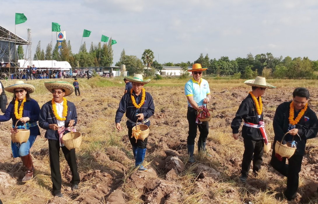 “ปอเทือง” พลิกผืนดินยโสธร สู่เกษตรอินทรีย์คำเขื่อนแก้ว