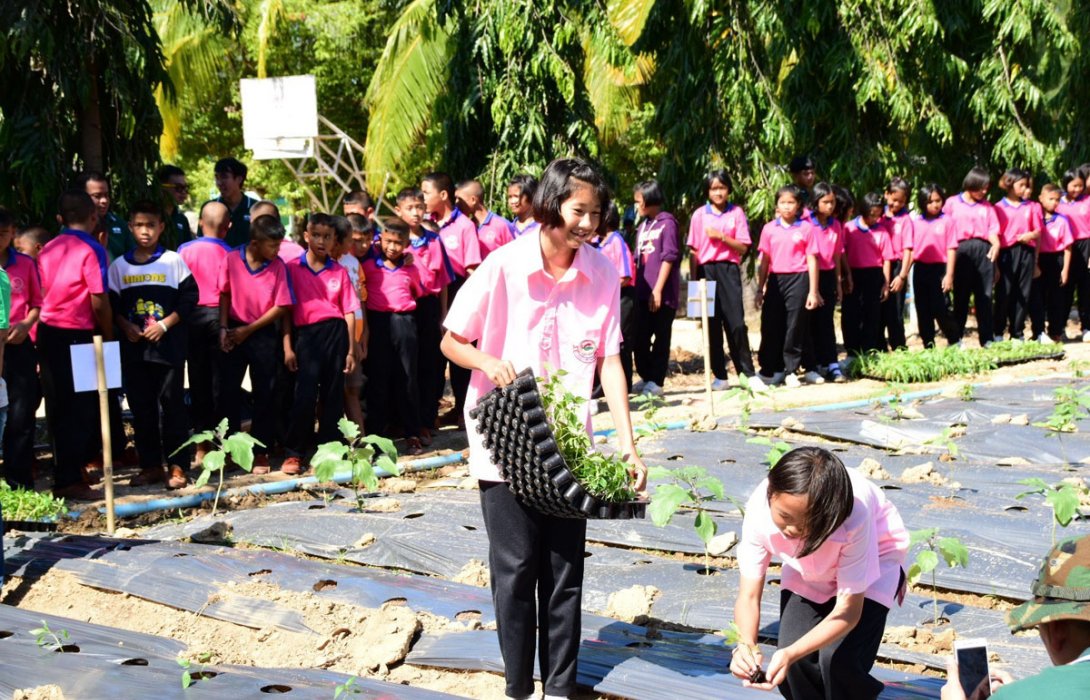 ‘อีสท์ เวสท์ ซีด’ นำร่อง ‘ผักโรงเรียน’ น้อมนำศาสตร์พระราชาสู่เยาวชน