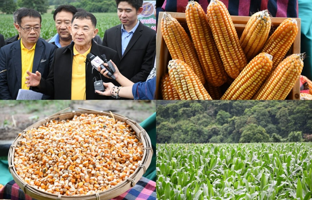 วีรศักดิ์’ มั่นใจหลังนำ รมช. พาณิชย์กัมพูชา ดูไร่ข้าวโพดและตลาดไท  คาดช่วยยกระดับความร่วมมือด้านเศรษฐกิจ ปูทางสู่เป้าหมายการค้า 15,000 ล้านเหรียญสหรัฐ 