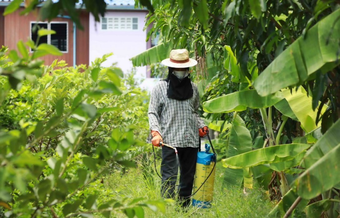 “เครือข่ายราชบุรีโมเดล” ร่วม “หน่วยงานรัฐ” ชู ต้นแบบเกษตร GAP ใช้เคมีไร้สารตกค้าง