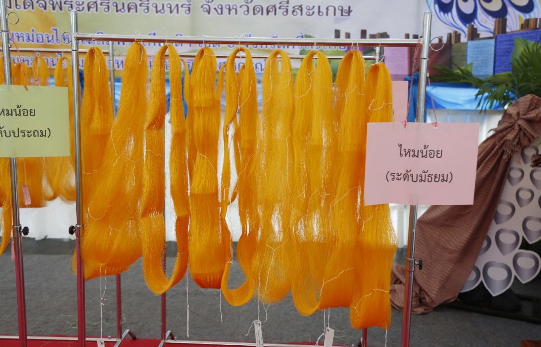 ‘กรมหม่อนไหม’สืบสานภูมิปัญญาหม่อนไหม จัดแข่งขันสาวไหมและการทำพานพุ่มระดับประเทศ ปี 63 อนุรักษ์สืบทอดวัฒนธรรมสืบต่อสู่เยาวชนรุ่นใหม่ 