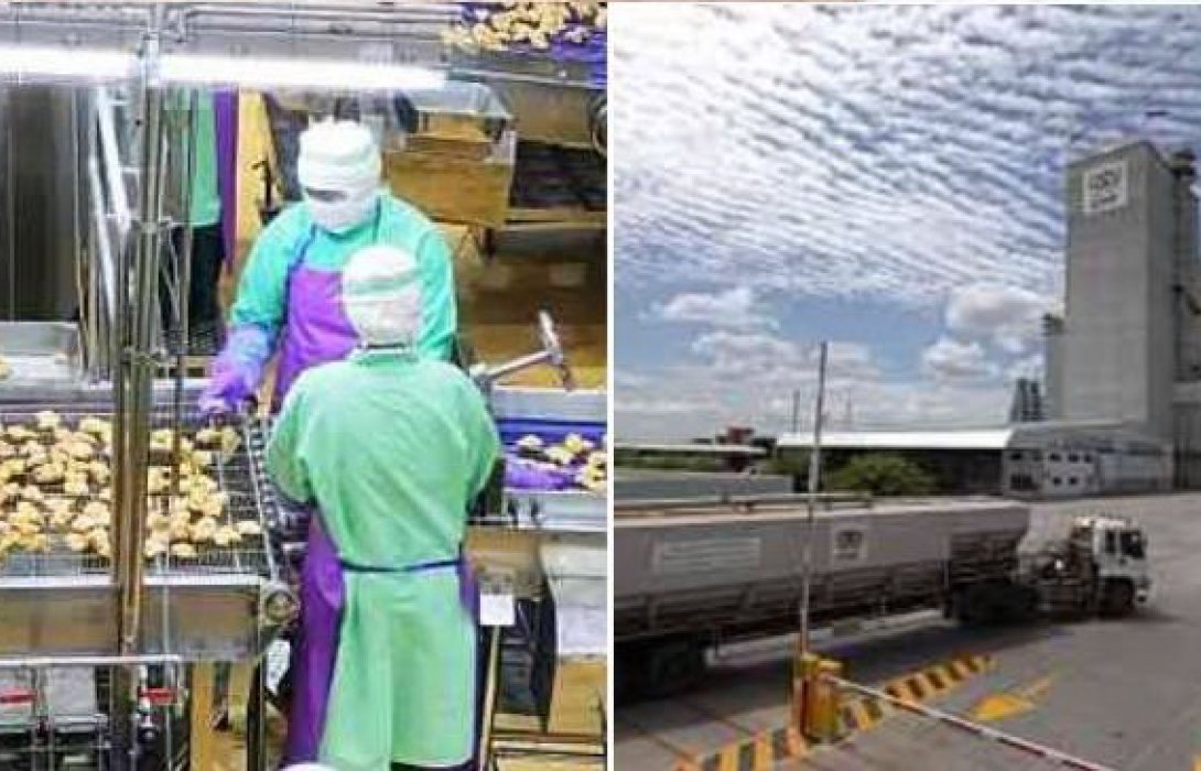 “หมอยง” ชี้ อุตสาหกรรมอาหารไทย การ์ดดี ไม่มีตก “โควิด-19 กับอาหารแช่แข็ง”