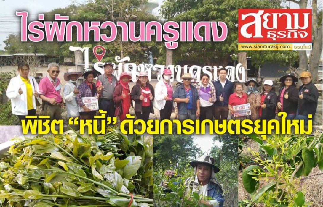 ไร่ผักหวานครูแดงพิชิต “หนี้” ด้วยการเกษตรยุคใหม่