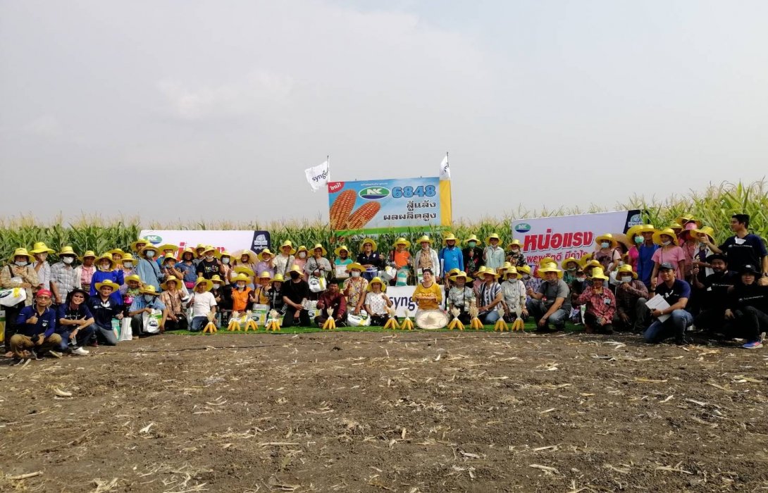 “ซินเจนทา” จัด 'Corn Expo' โชว์นวัตกรรมข้าวโพดสายพันธุ์ใหม่สู้ภัยแล้งและนวัตกรรมผลิตอย่างยั่งยืน