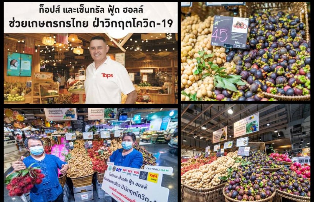 “ท็อปส์” ช่วยพี่น้องเกษตรกรไทยสู้วิกฤตโควิด ตั้งเป้ารับซื้อผลผลิตทางการเกษตรลำไยภาคเหนือ เงาะ ลองกอง มังคุดจากภาคใต้เพิ่มขึ้น 35 % 
