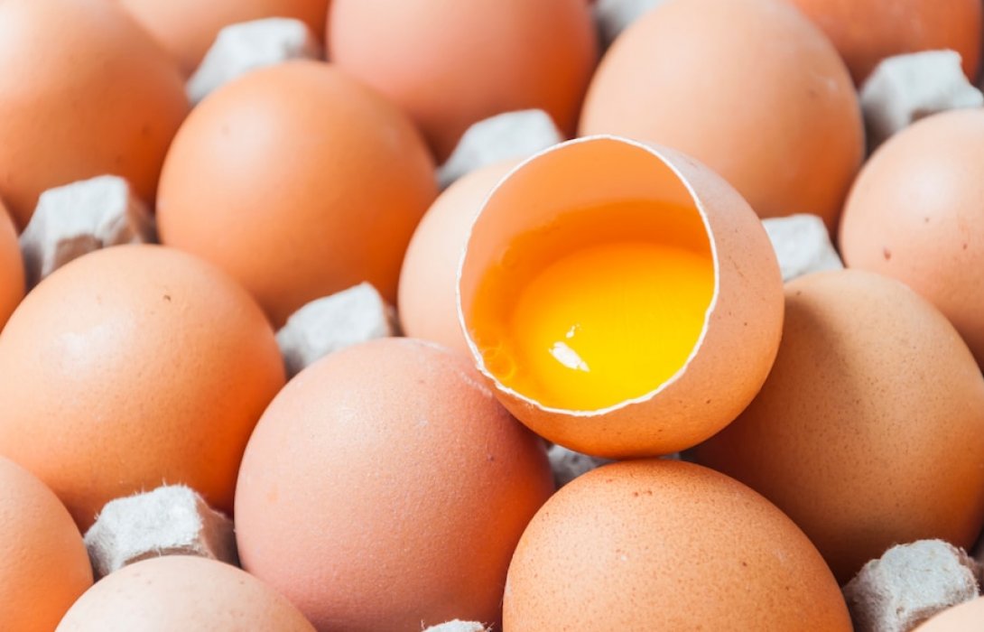 สมาคมไข่ไก่ฯ ขานรับ 2 โจทย์ เร่งส่งออกลดสต๊อกในประเทศและช่วยเหลือประเทศคู่ค้าที่ขาดแคลนอาหาร