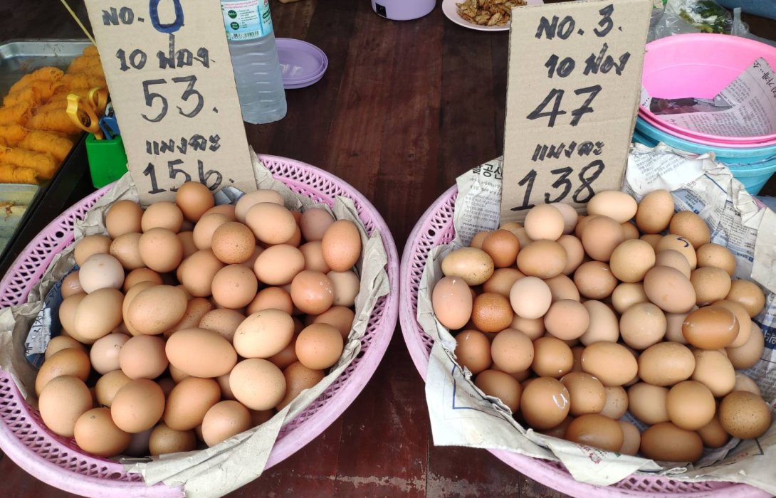 ไข่ไก่ไทย โปรตีนชั้นดีไม่เคยขาดแคลน ราคาไม่แพงอย่างที่คิด โดย แทนขวัญ มั่นธรรมะ นักวิชาการอิสระ