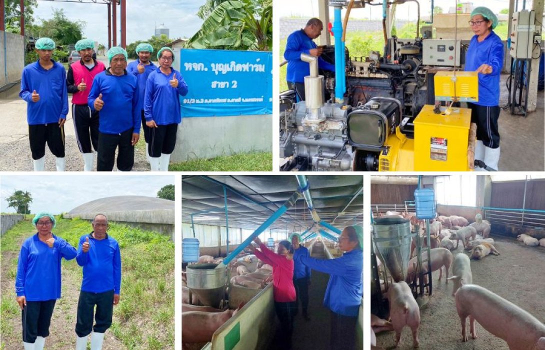 “บุญเกิดฟาร์ม” บทพิสูจน์ 20 ปี คอนแทรคฟาร์มเลี้ยงหมู พลิกชีวิต สร้างอาชีพมั่นคง  