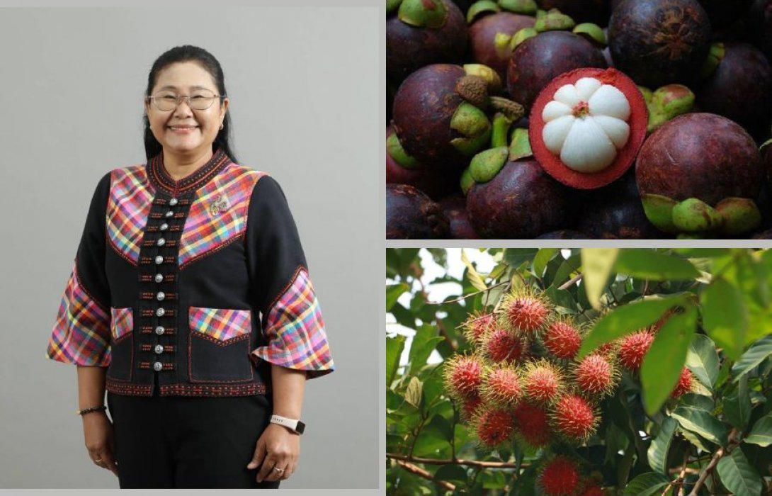 ภาพรวมไม้ผล 6 ชนิดของไทย ปี 2568 ผลผลิตเพิ่มขึ้น คาด ทุเรียนปีนี้ ผลผลิต 1.682 ล้านตัน เพิ่มขึ้น 11% ขณะที่ลิ้นจี่ผลผลิตเพิ่มมากขึ้นถึง 161%  