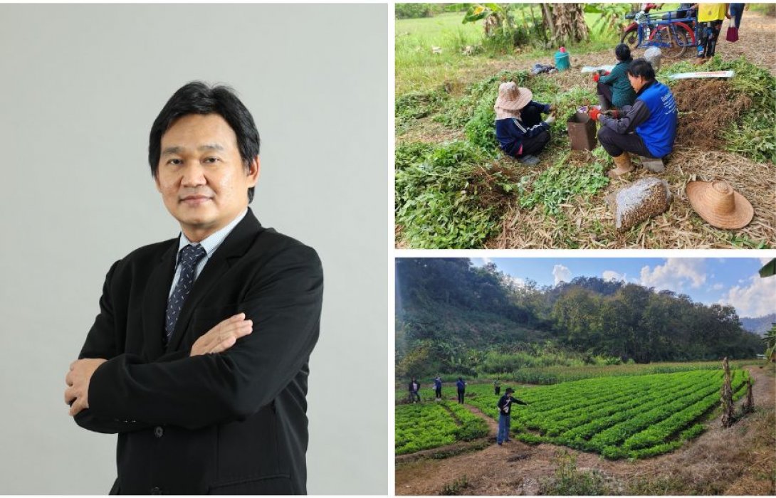 สศก. เผยผลศึกษาปัจจัยทางเศรษฐกิจต่อการตัดสินใจปลูกถั่วลิสงหนุนเกษตรกรที่มีพื้นที่เพาะปลูกนอกเขตชลประทาน หันปลูกถั่วลิสงเพิ่มรายได้