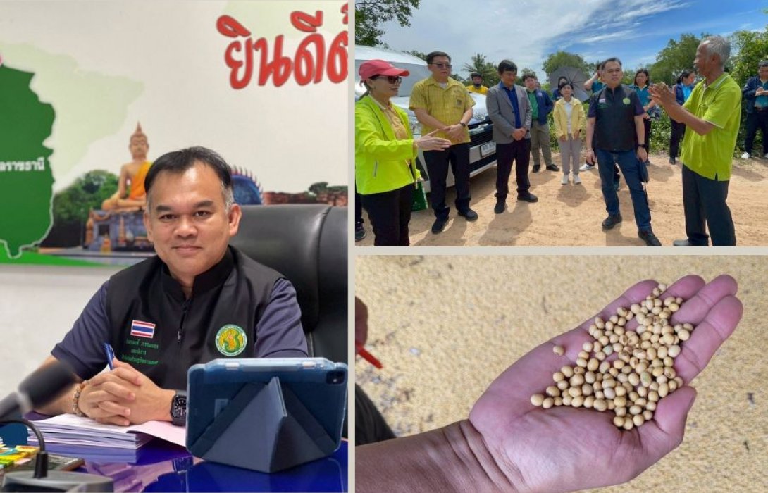 กองทุน FTA อนุมัติงบ 24.98 ล้านบาท หนุนโครงการนำร่องถั่วเหลืองอินทรีย์–แฟร์เทรด ยกระดับต้นแบบการผลิต เพิ่มขีดแข่งขันภาคเกษตรไทย