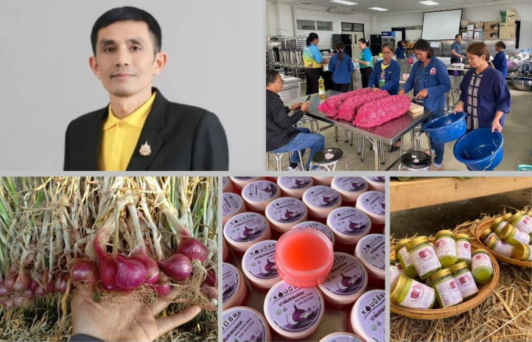แปลงใหญ่หอมแดงบ้านโปร่งมีชัย จ.ชัยภูมิ ผลิตหอมแดงคุณภาพ สร้างรายได้เสริมให้เกษตรกรในพื้นที่ 