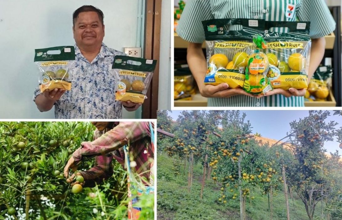 เส้นทางส้ม 100 ล้าน! “เกรียงศักดิ์ เถ้าแก่ส้ม” ปั้นโชกุนเบตง–สายน้ำผึ้งฝาง เซเว่นฯ ช่วยเปิดตลาดใหญ่ สร้างรายได้ให้เกษตรกรในพื้นที่ปลูกทั้งเหนือและใต้