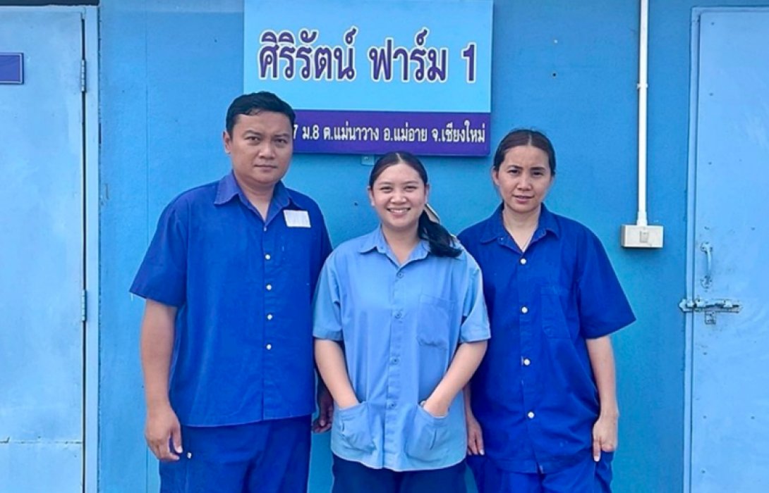 ทิ้งชีวิตต่างแดน กลับเชียงใหม่เลี้ยงหมู ทางเลือกที่มั่นคงของ “ศิริรัตน์ ยั่งยืน”