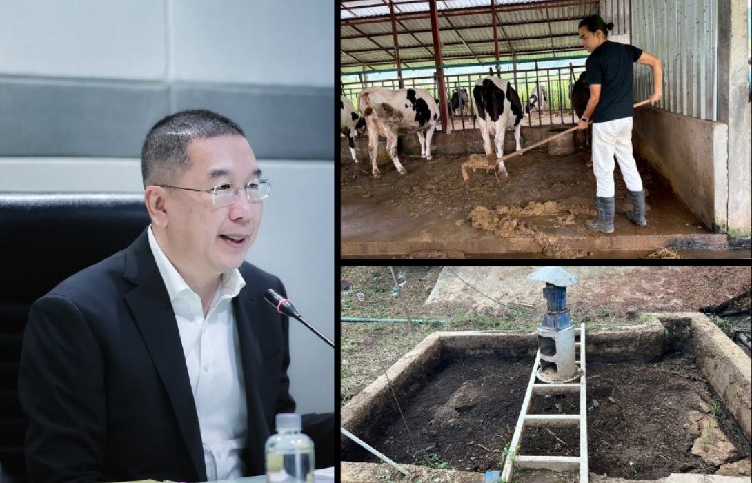 สศก. เปิดผลศึกษา การจัดการมูลโคนมด้วยบ่อก๊าซชีวภาพ  พบ ฟาร์มขนาดใหญ่และขนาดกลางมีความคุ้มค่าสูง แนะจัดลำดับการสนับสนุนตามศักยภาพฟาร์ม