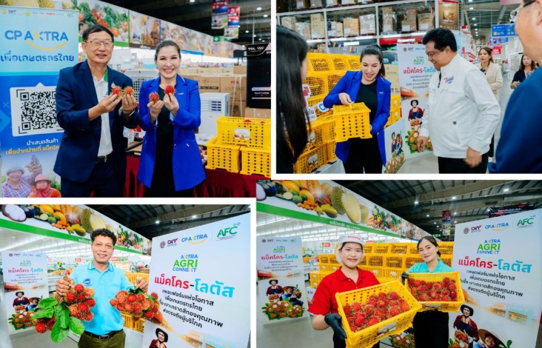 ซีพี แอ็กซ์ตร้า เดินหน้าหนุนเกษตรกรไทยผ่านแพลตฟอร์มแห่งโอกาส  รับซื้อเงาะสีทองตราด 100,000 กิโลกรัม วางขายผ่าน “แม็คโคร–โลตัส” ทั่วประเทศ