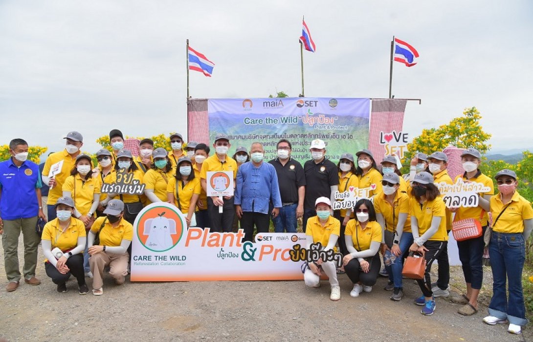 TACC ร่วมสนับสนุนโครงการปลูกป้อง Plant & Protect 