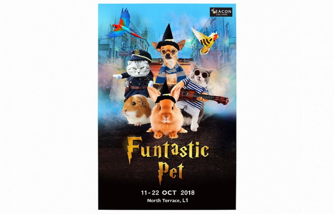 “Funtastic Pet” รวมความน่ารักของเหล่าสัตว์เลี้ยงแสนรู้