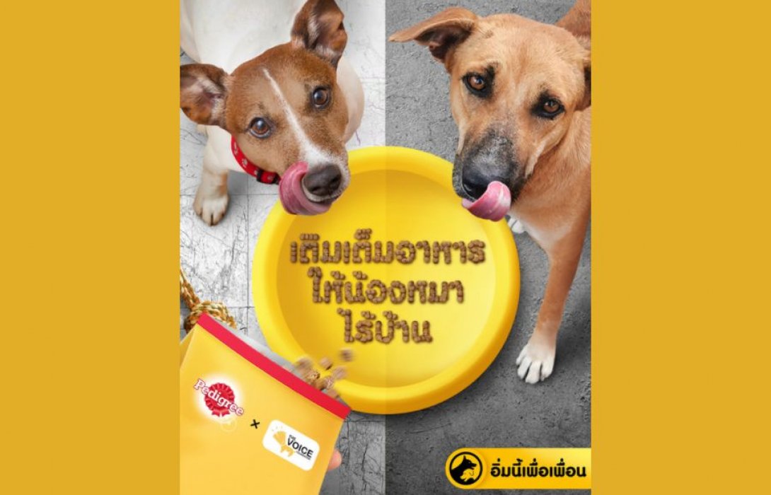 “มาร์สไทยแลนด์อิงค์” ชวนเจ้าของสัตว์เลี้ยง ร่วมส่งมอบเพดดิกรี ให้น้องหมาในสถานสงเคราะห์ฯ ในแคมเปญ “PEDIGREE อิ่มนี้เพื่อเพื่อน”
