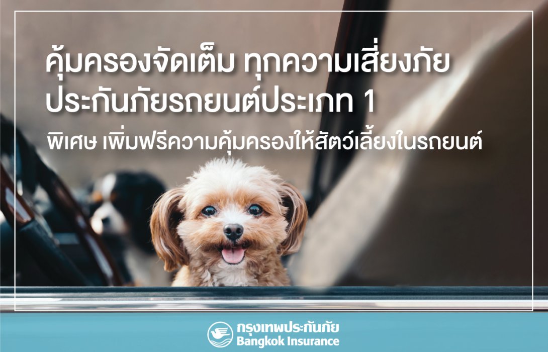 กรุงเทพประกันภัย เข้าใจไลฟ์สไตล์คนยุคใหม่ เพิ่มฟรี “ความคุ้มครองสัตว์เลี้ยง” ให้ลูกค้าประกันภัยรถยนต์ ชั้น 1 ทั้งลูกค้าใหม่และต่ออายุ เริ่มตั้งแต่วันนี้เป็นต้นไป  