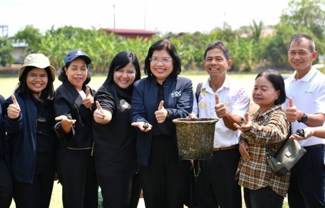 ซีพี แอ็กซ์ตร้า หนุนสินค้าเกษตร GI ลงพื้นที่ “แห้วสุพรรณ” ขยายช่องทางจำหน่ายผ่านแม็คโคร-โลตัสทั่วประเทศ